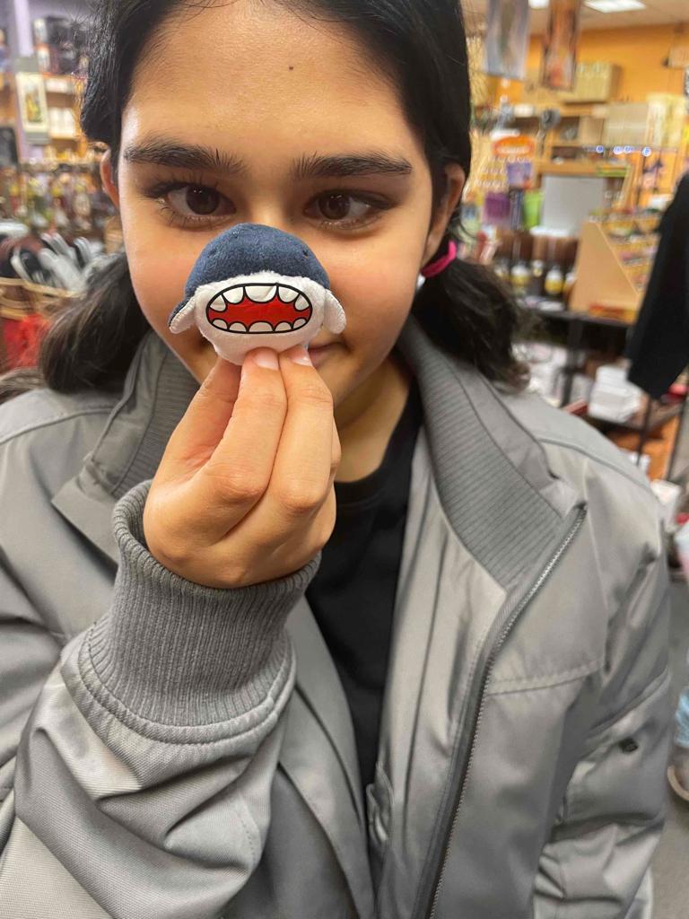 FrogQuest 504 654 2536 A9 241208 222108936